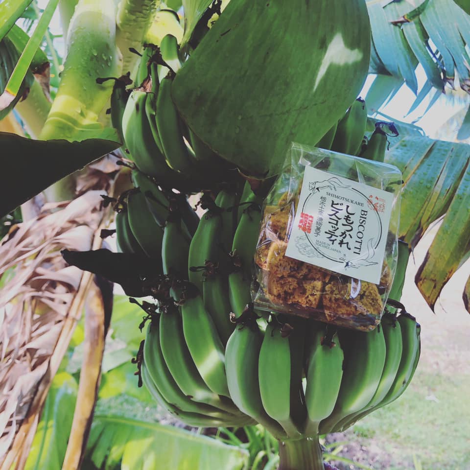 グアム　しもつかれビスコッティ