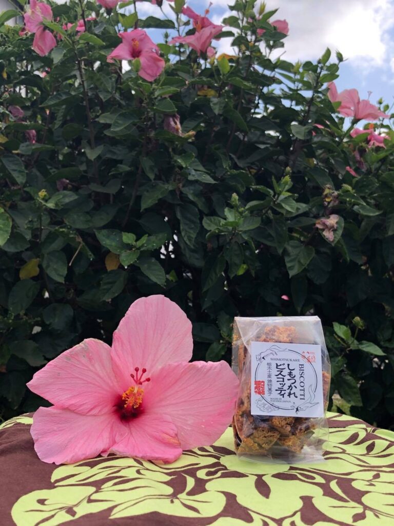 ハワイ　しもつかれビスコッティ