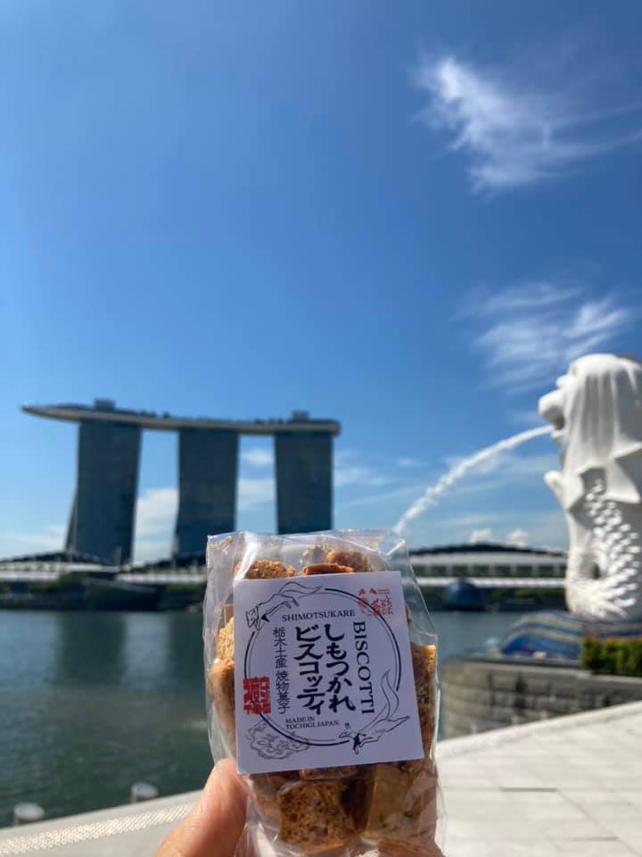 シンガポール　しもつかれビスコッティ